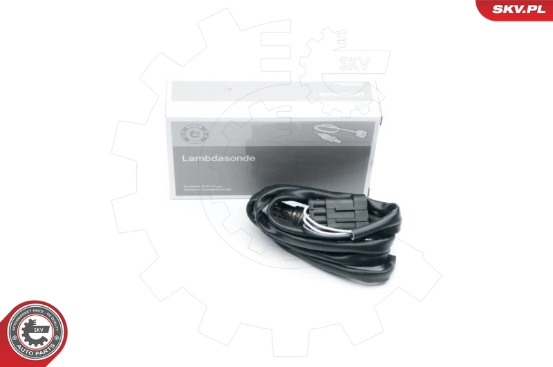 Oxygen Sensor